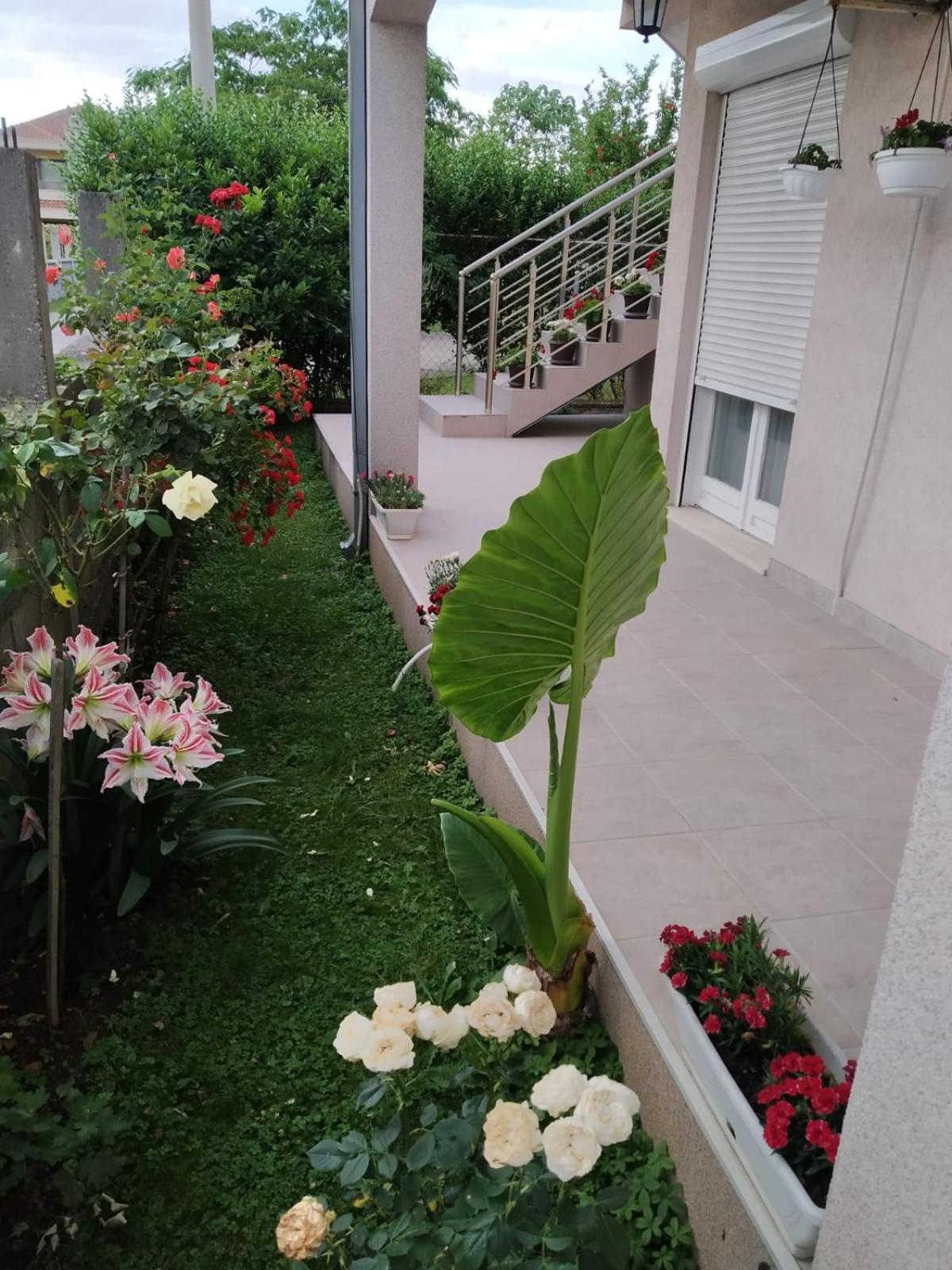 Entire House Floor - 2-Bedroom Cozy & Peaceful Apartment 포드고리차 외부 사진